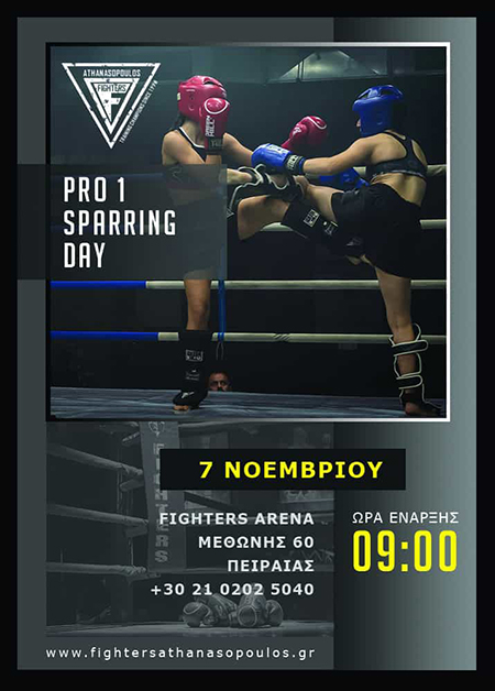 pro one sparring 2