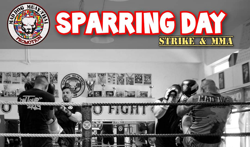 sparring day 1110