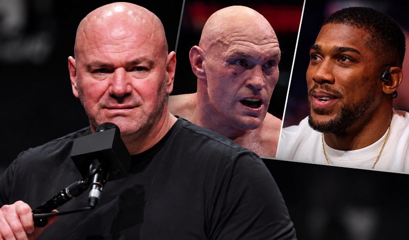 dana white fury joshua