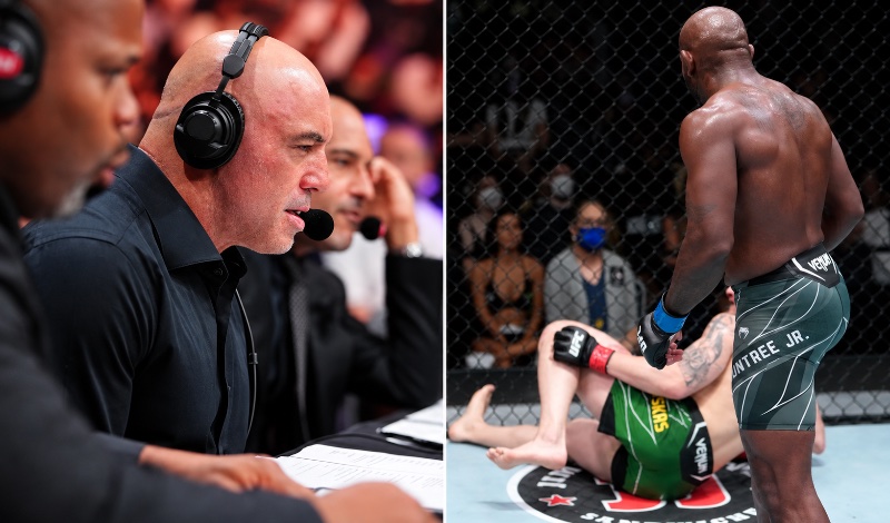 joe rogan oblique kick