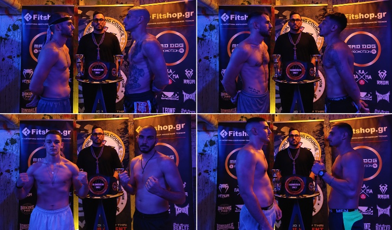 mad dog promotion zygish