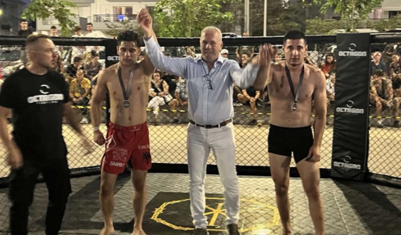 octagon fighting 3202