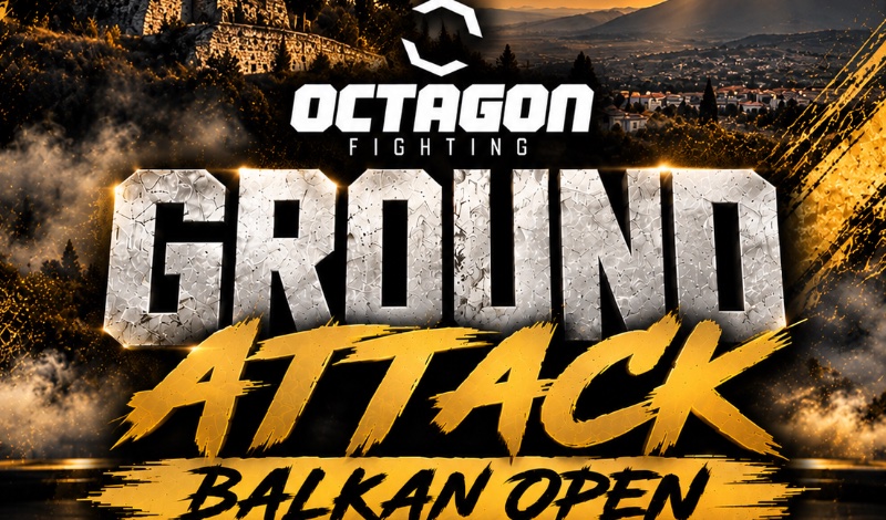 octagon ground attack