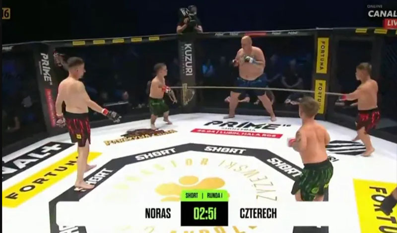 Norasxxl short mma poland