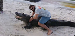 arman tsarukyan krotalias small