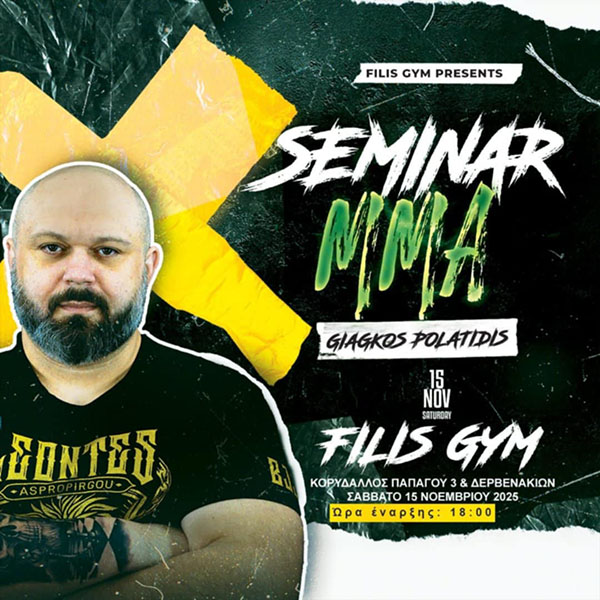 filis gym seminario mma 9