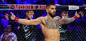 ilia topuria 201 small