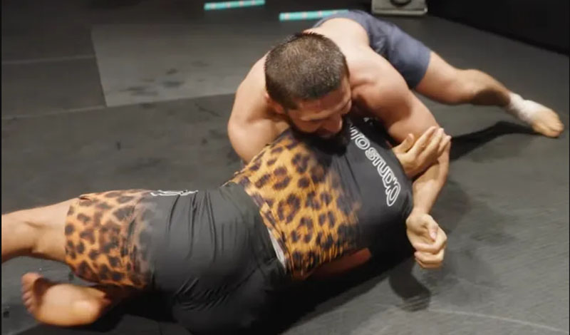 khamzat chimaev demetrious johnson