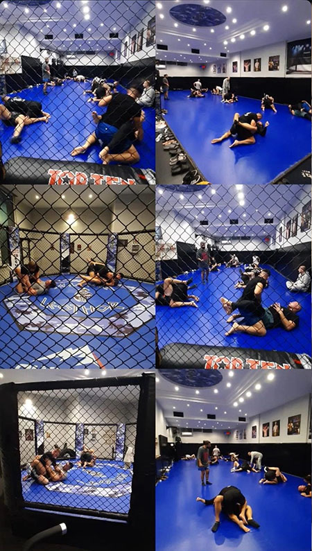 mma team leothor mma ring foto