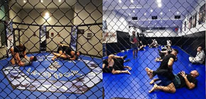 mma team leothor mma ring small