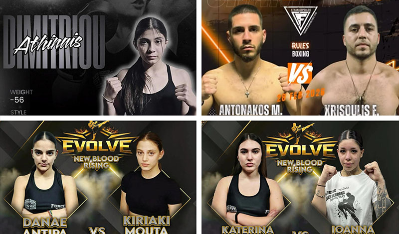 north fighters agones