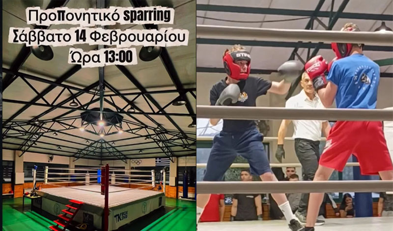 panellhnios sparring