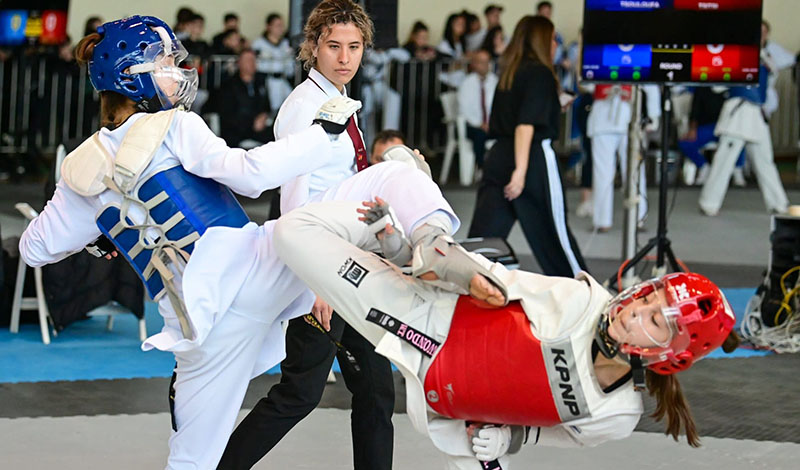 taekwondo 10