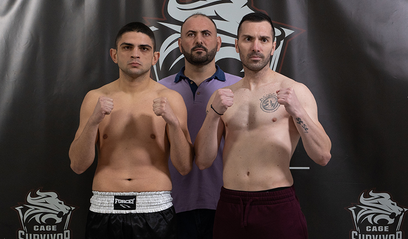 combat strike 7 zigisi