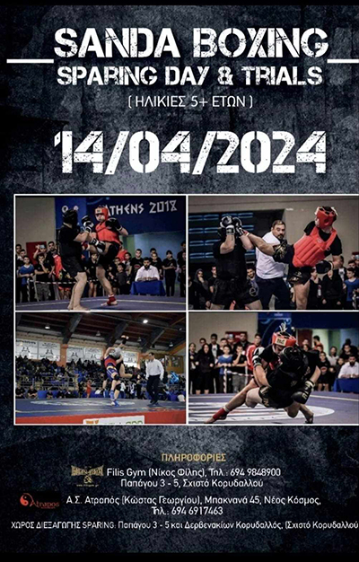 filis gym sanda sparring 089