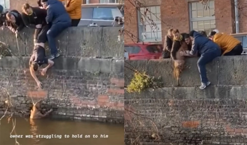 foitites agglia skilos