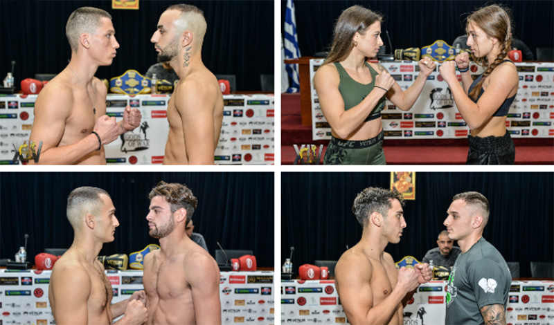 gods of war 14 fights