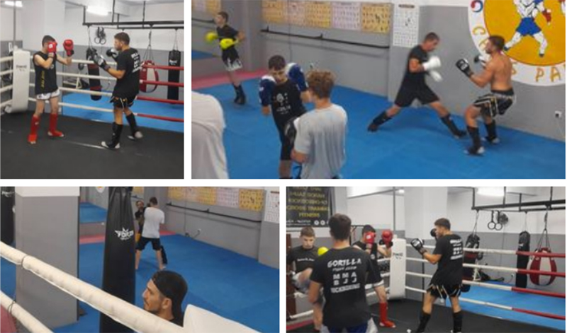 gortilla team strike quest 4