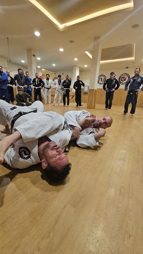 Andre Ushirobira seminar 7