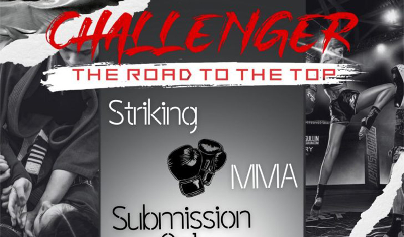 challenger the road to the top 20