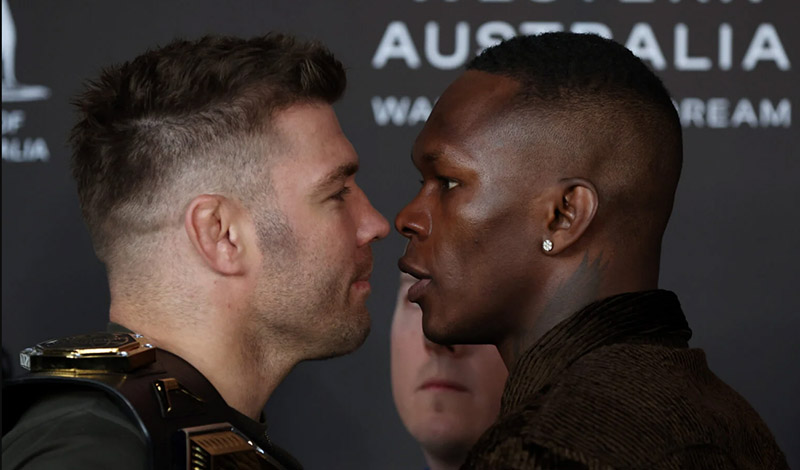 du plessis adesanya poster