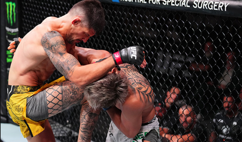 joel alvarez ufc abu dhabi