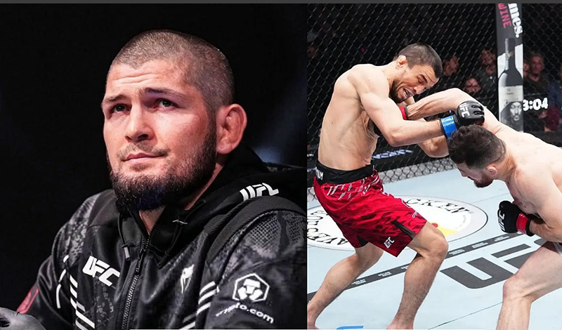 khabib nurmagomedov umar ufc 311