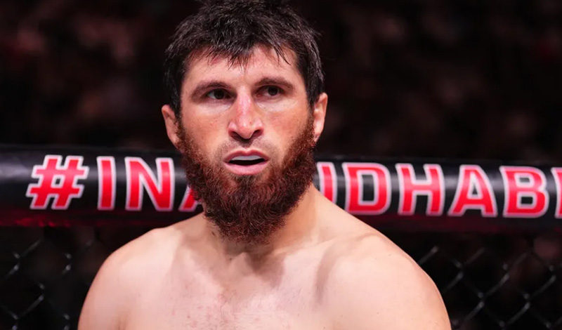 magomed ankalaev 120