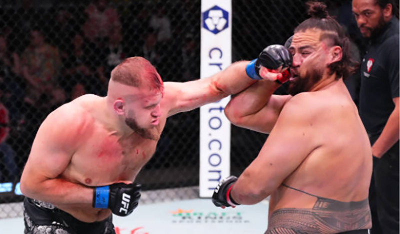 marcin tybura dinei grothia se tai tuivasa