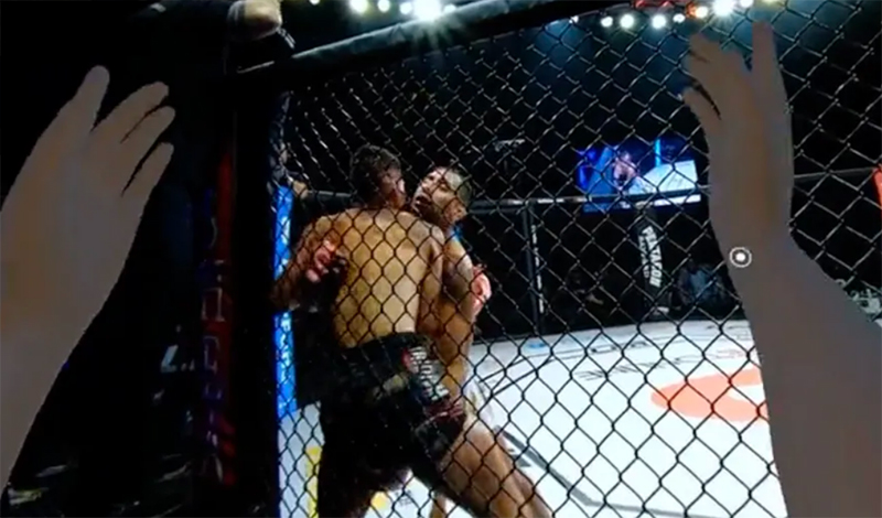 meta vr lfa mma