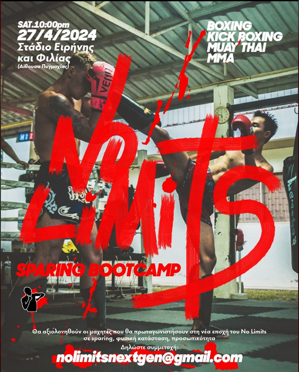 no limits sparring bootcamp afisa