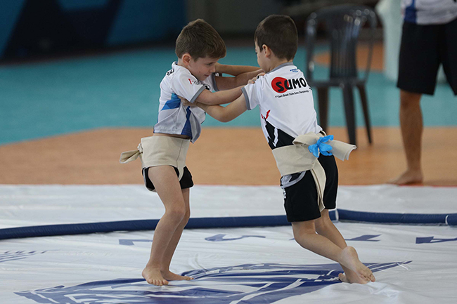 panellinio protathlima sumo 24