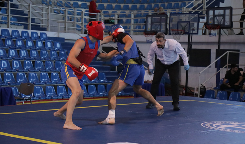 panellinio wushu kung fu