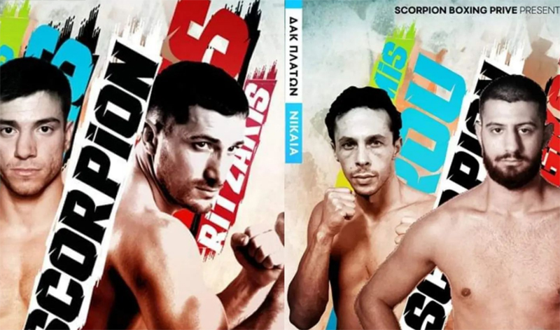 phoenix boxing club scorpion