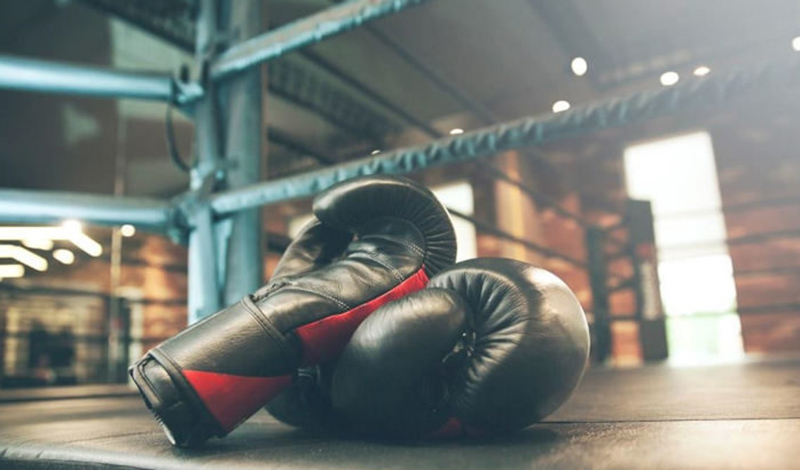 pygmaxia xylodarmos proponiti 1