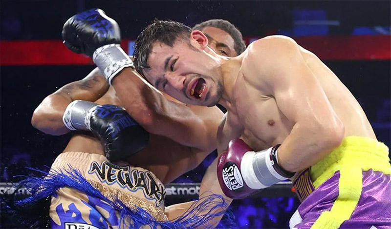 shakur stevenson 500