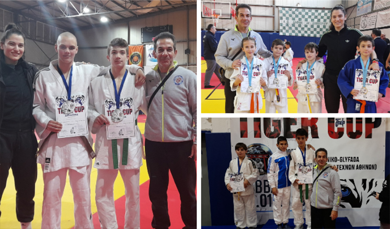 southern judo academy judo tiger cup