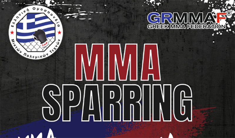trito mma sparring 2