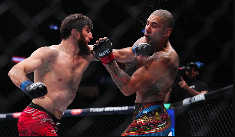 alex pereira magomed ankalaev 03