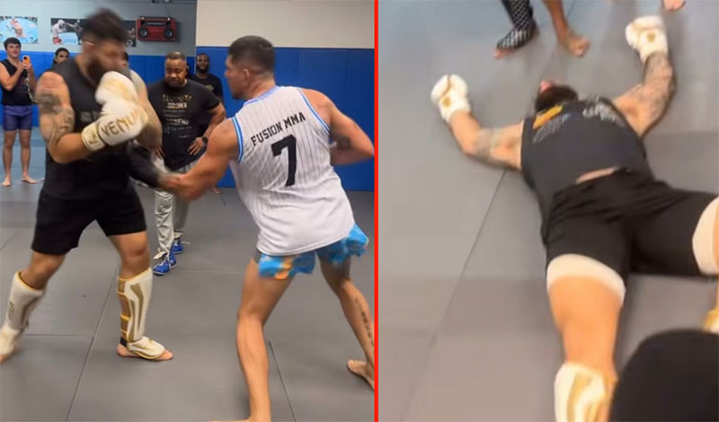 alex pereira sparring partner 1