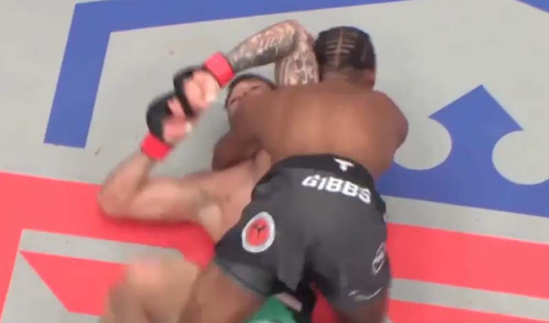 Biaggio Ali Walsh 43