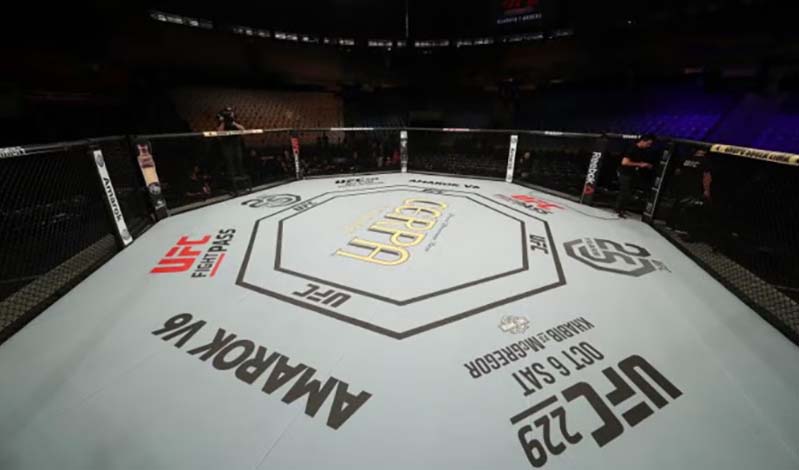 apolisi maxhth ufc 317