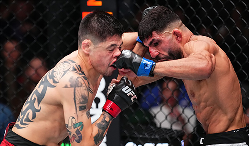 brandon moreno steve erceg 4