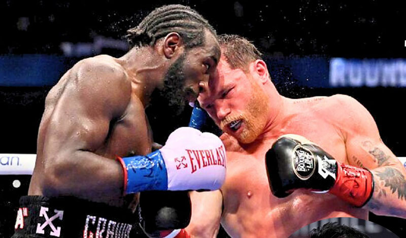 canelo alvare ronnie shields