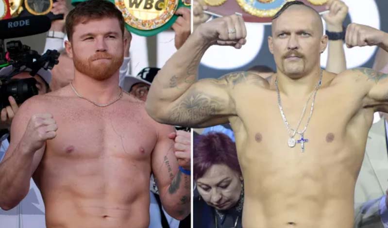 canelo usyk 24