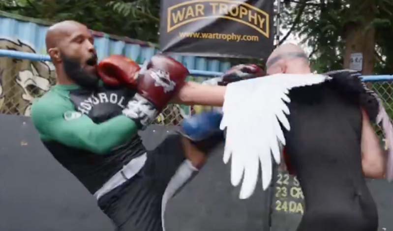 demetrious johnson 23