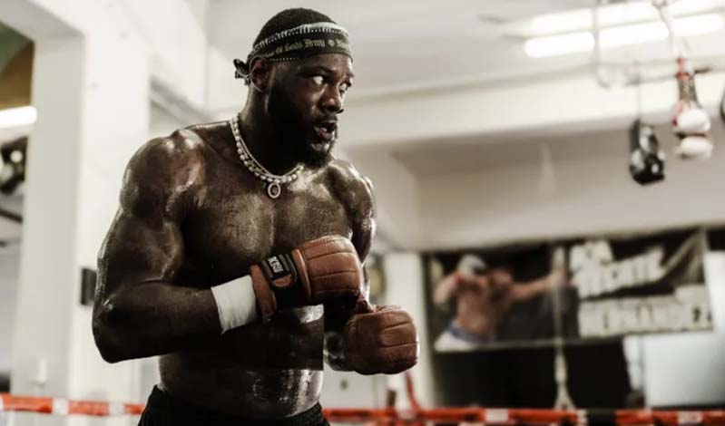 deontay wilder 3005