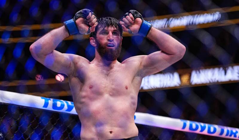 magomed ankalaev 522