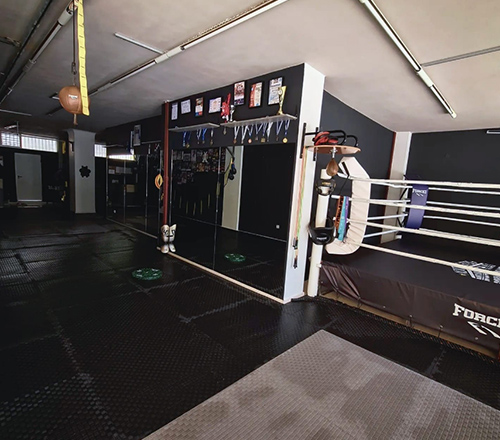 north fighters foto 16