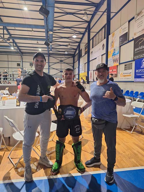 spartan warriors 493400